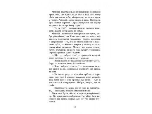 Світовий бестселер Книга Коти-вояки Здіймається буря 4