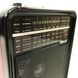 Радиоприемники fm диапазона GOLON RX-9100, Портативное ФМ радио EU-225 с флеш-накопителем