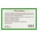 Блиск для об'єму губ Mocallure Lip Plumper 7 мл