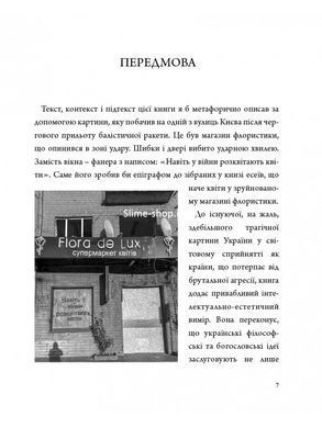 Книга Красота и благодарность / Александр Филоненко (на украинском)