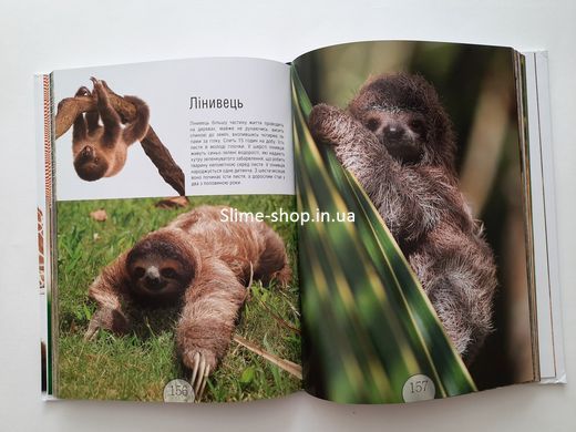 Книга для детей Малыши-зверята.