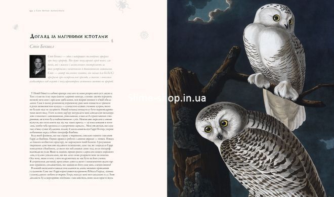 Книга Гарри Поттер История магии Иллюстрированная Джоан Роулинг (на украинском языке)