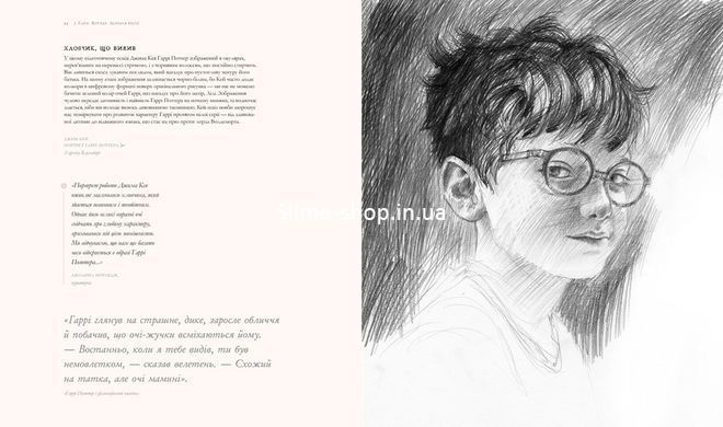 Книга Гарри Поттер История магии Иллюстрированная Джоан Роулинг (на украинском языке)