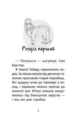 Книга Історії порятунку. Книга 8. Самотній поні