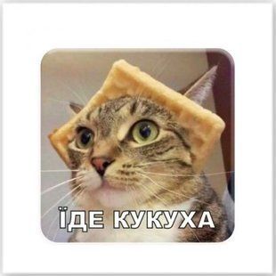3D стикер "Едет кукуха" (цена за 1 стикер)