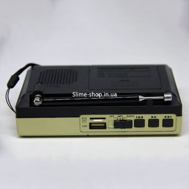 Портативная колонка радио MP3 USB Golon RX-6622. JX-576 Цвет: золотой