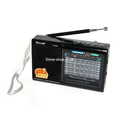 Портативная колонка радио MP3 USB Golon RX-6622. VZ-777 Цвет: черный