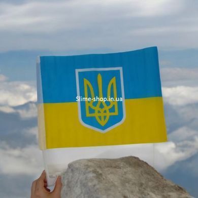 Флаг Украины с трезубцем 45 х 30 см автомобильный
