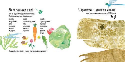 Наталія Чуб "Куди поділася черепаха?"