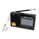 Портативная колонка радио MP3 USB Golon RX-6622. VZ-777 Цвет: черный