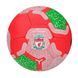 Мʼяч футбольний "Ліверпуль" Liverpool №5
