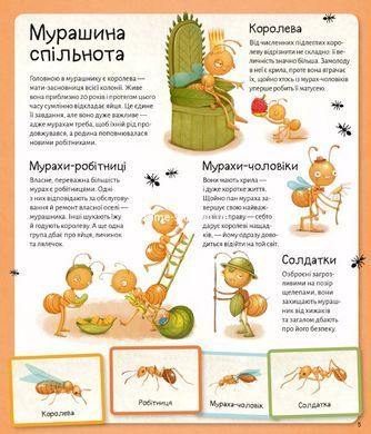 Книга для дітей Світ мурах / Штєпанка Секанінова. Енциклопедії (українською)
