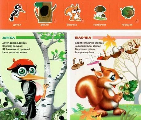 Книга Загляни в окошко. Мы работаем! - Анна Чубач (на украинском языке)