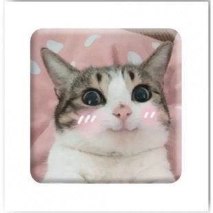 3D стикер "Милый котик" (цена за 1 стикер)