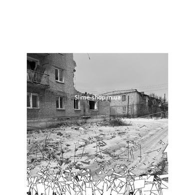 Книга Українські щоденники / Вагур Лайяпеа (українською)