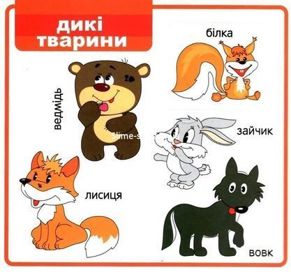 Книга Мои первые слова. Мир вокруг (белая) (на украинском языке)