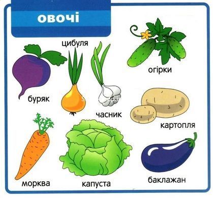 Книга Мои первые слова. Мир вокруг (белая) (на украинском языке)