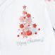 Новогодний детский набор с фатином Merry Christmas silver