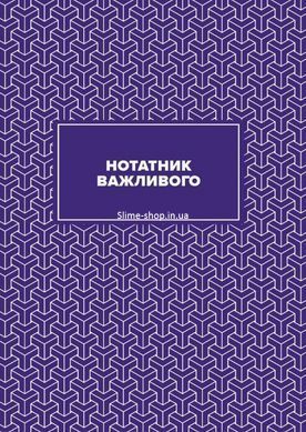Книга Вчительський планер (значки) Гудима Марія Ігорівна, Фенюк Богдан