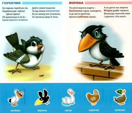 Книга Загляни в окошко. Наши вкусности - Анна Чубач (на украинском языке)