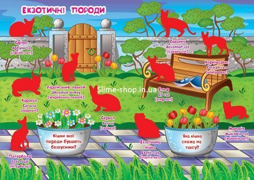 Велика книга "Розвиваючі наклейки. Розумні завдання. Кішки" (укр)